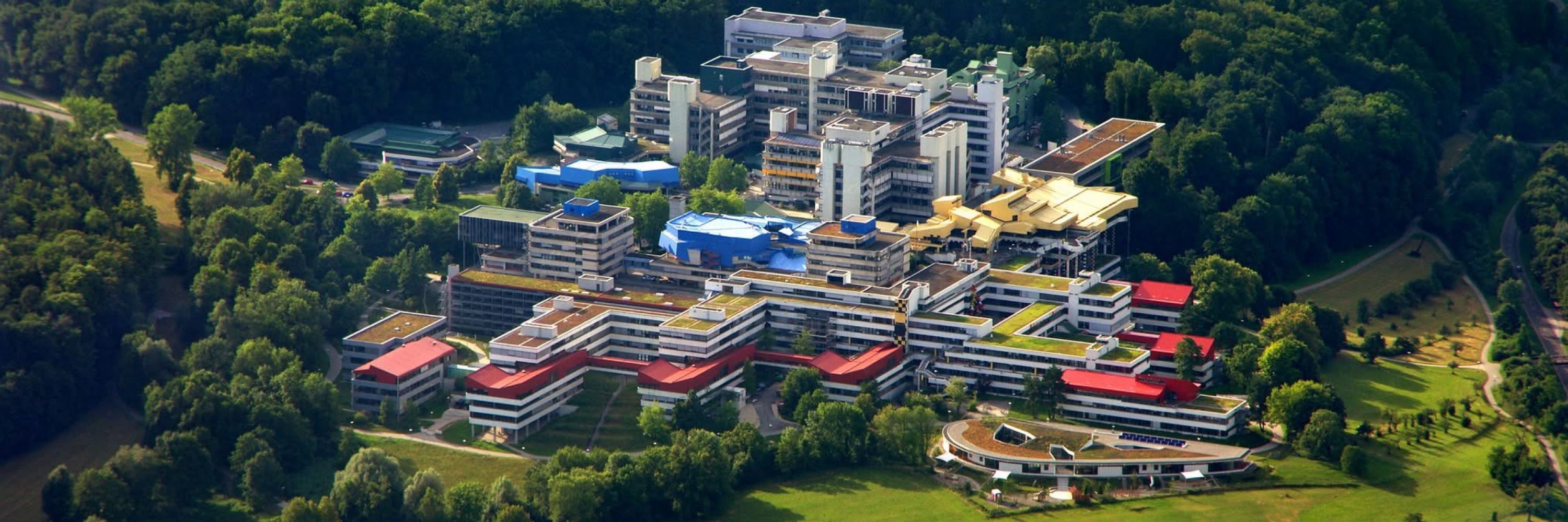 FB Linguistik Universität Konstanz