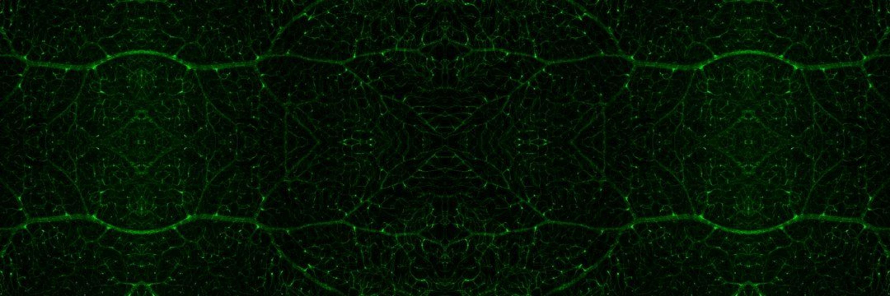 CL