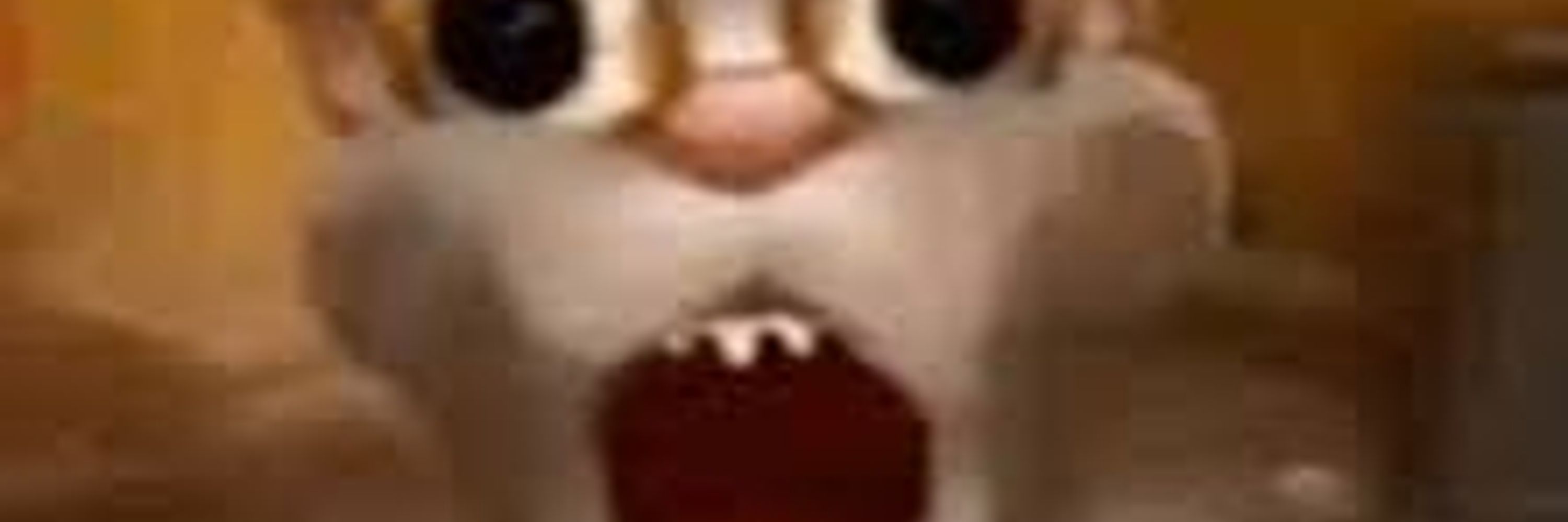 ThatIdiotRen