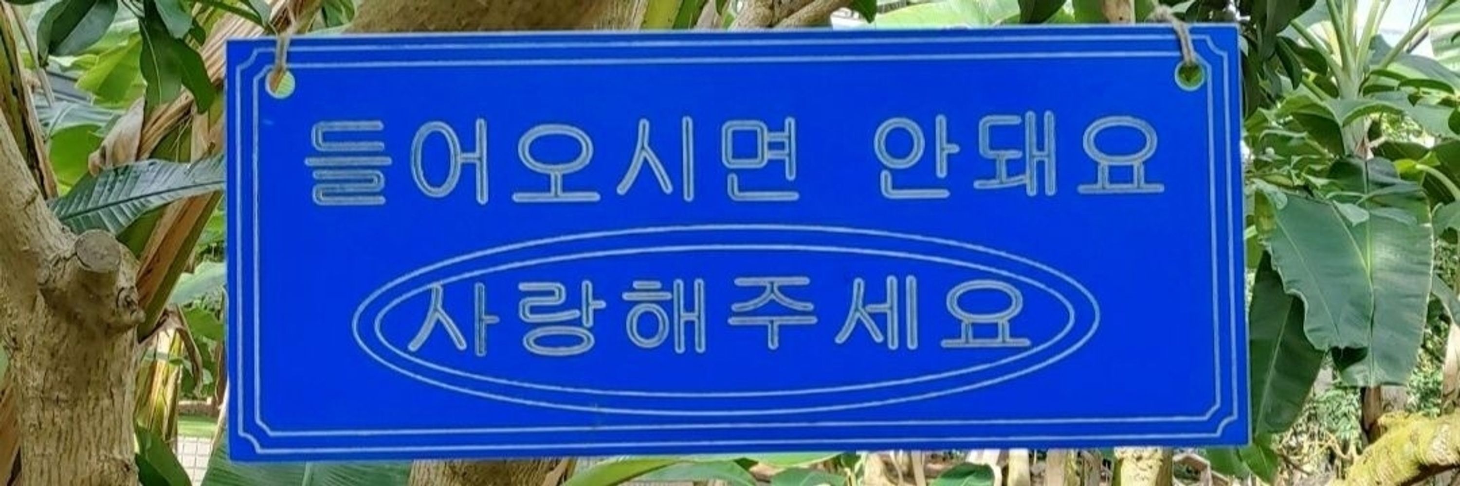 가르송