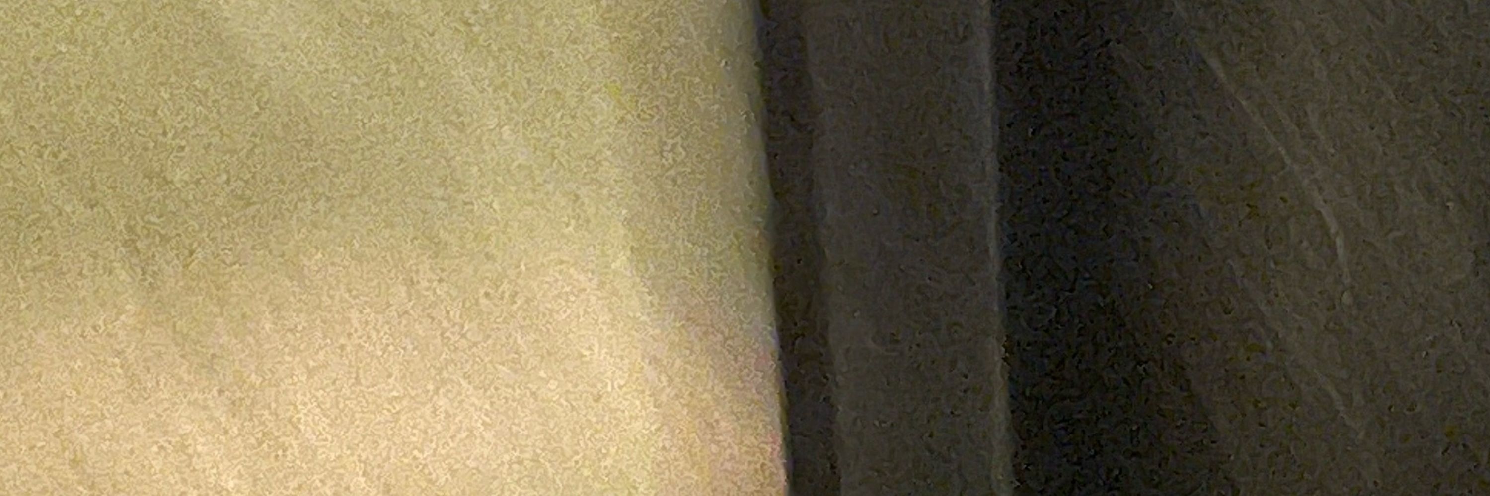 ArauhLeh 