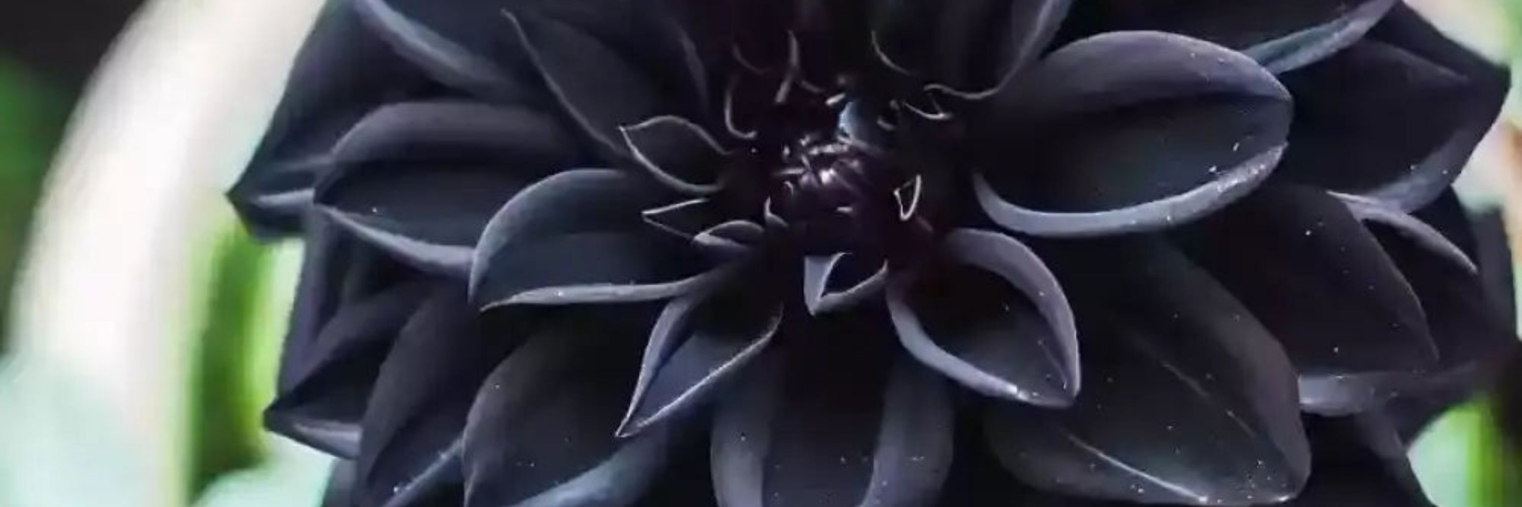 ℬ𝒶𝒷𝓎