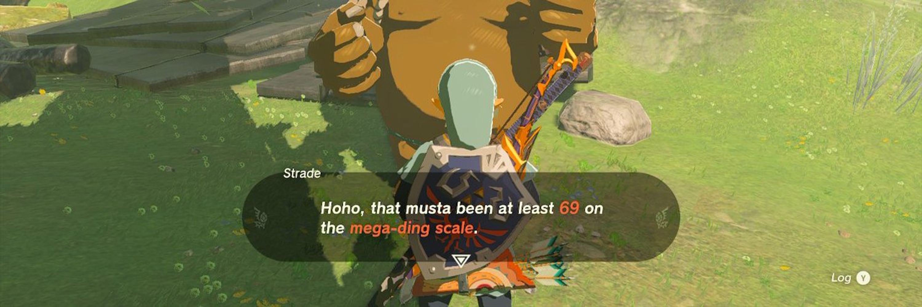 DS