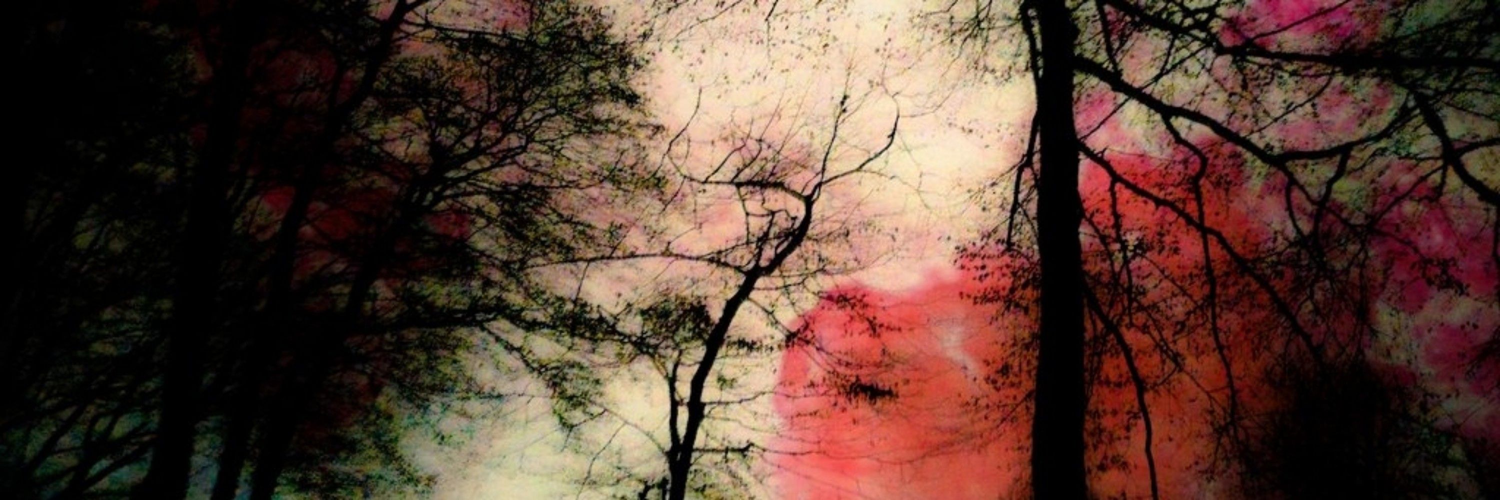 Loretta Lemon 