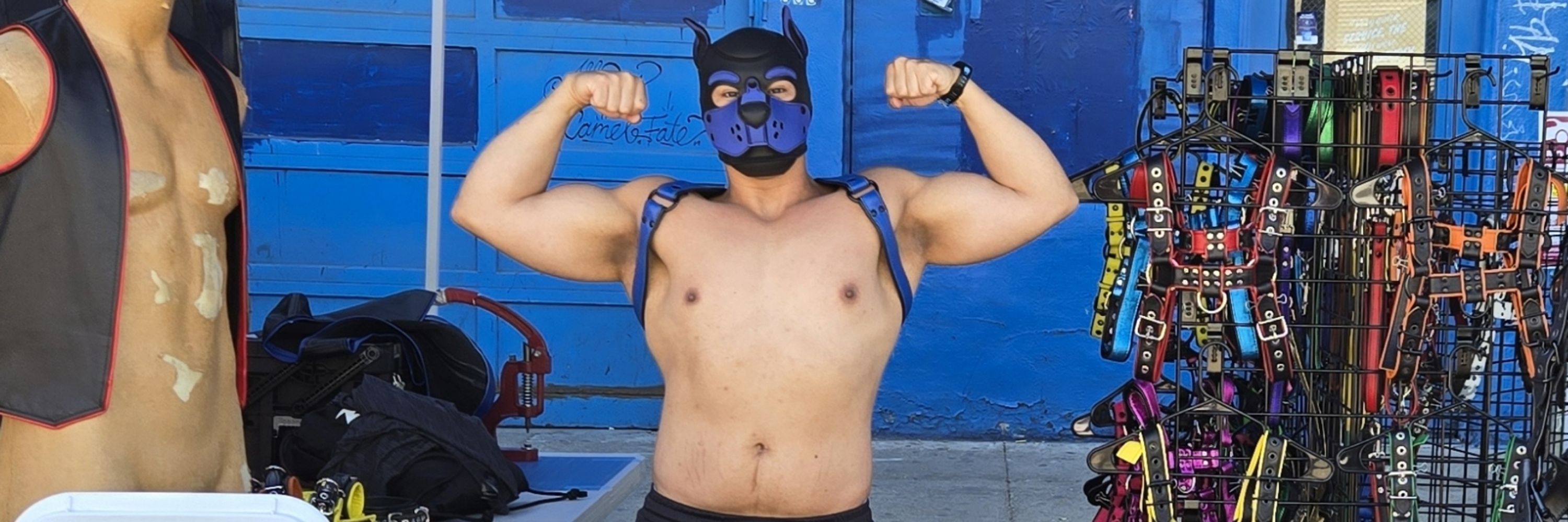 Pup Fit