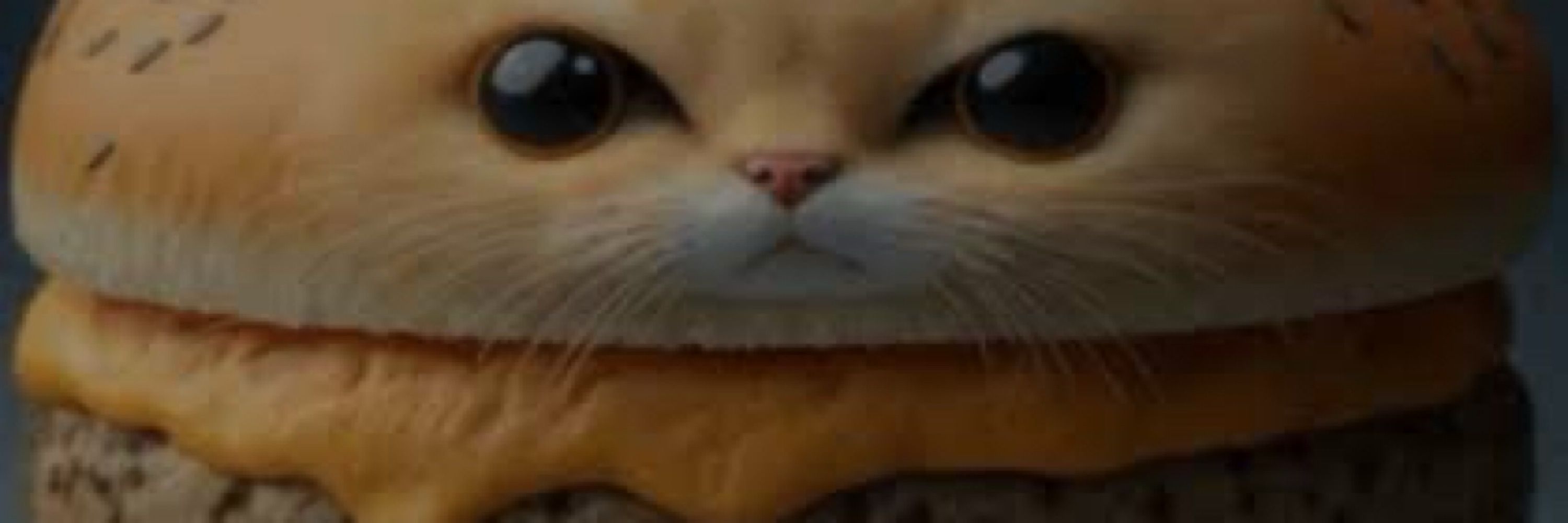 gato todo fudido 