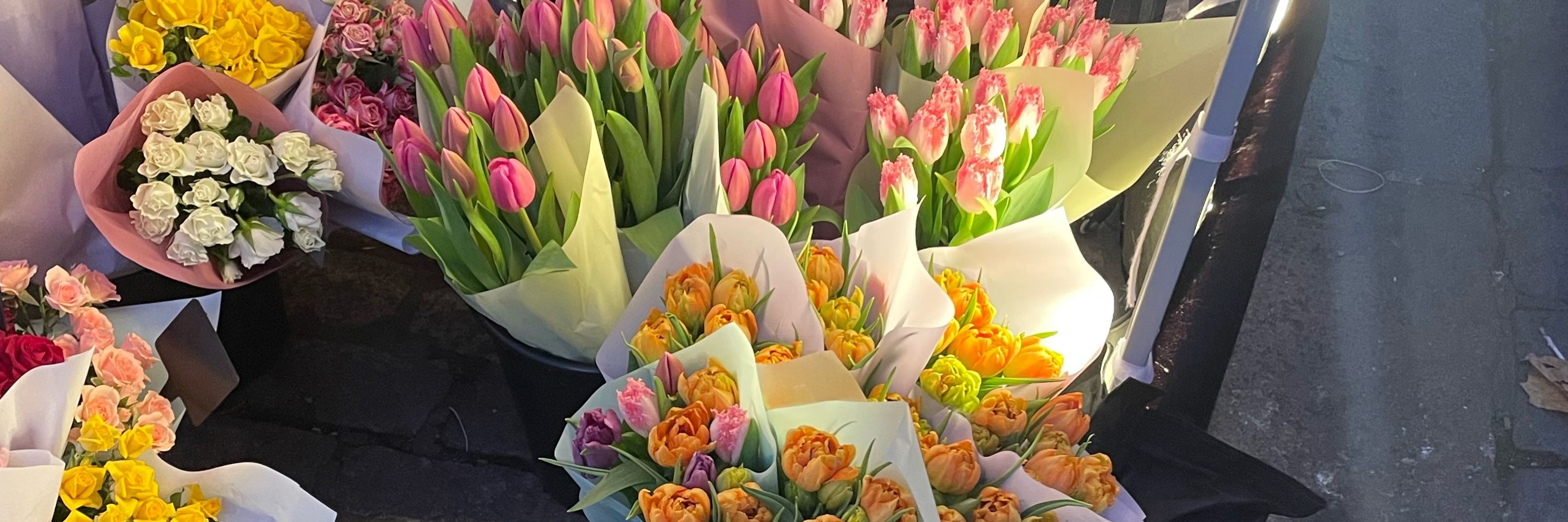 geo 🌷