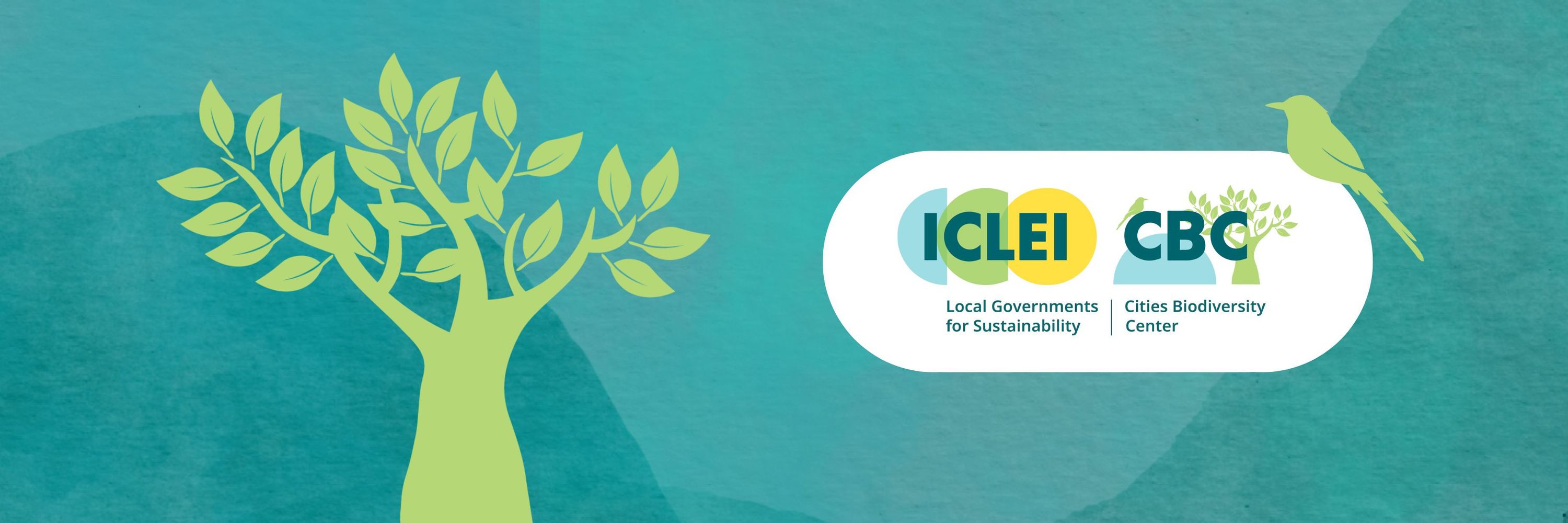 ICLEI CBC