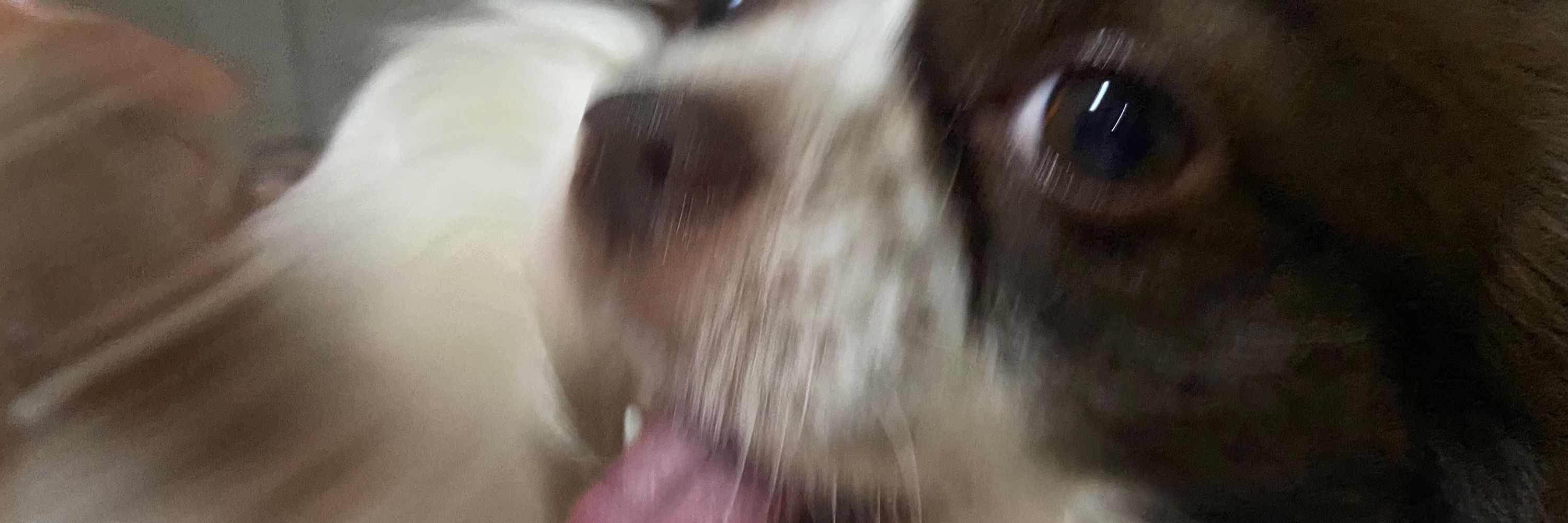 addy