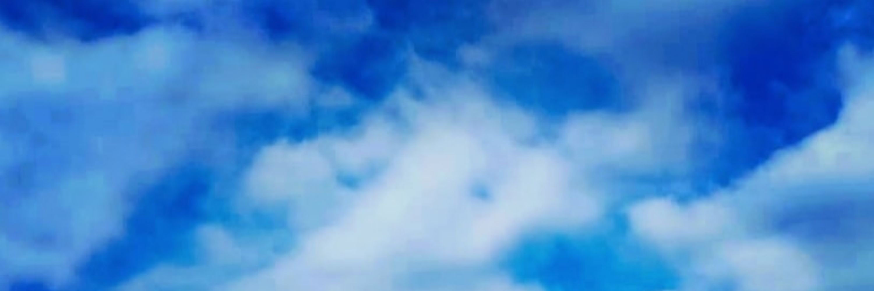 Disc