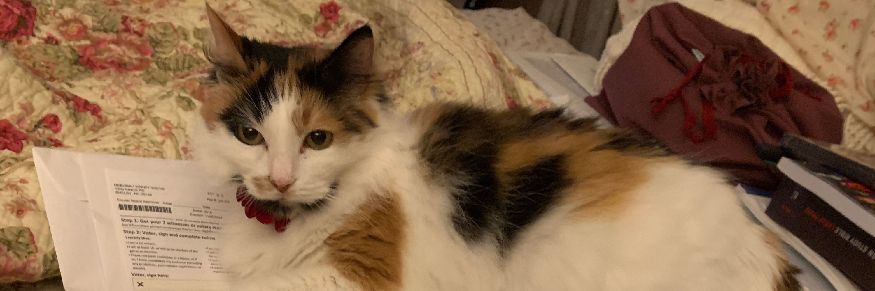Deb