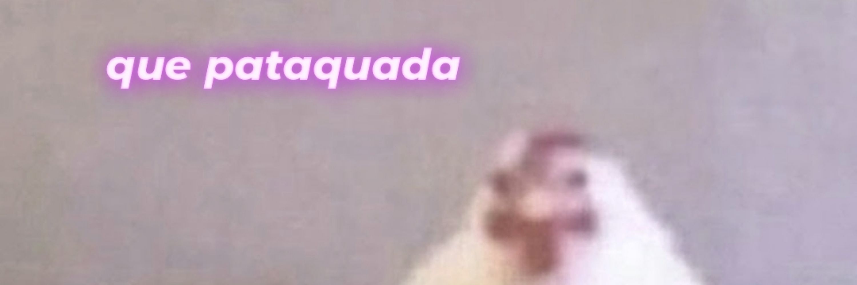 Talinha