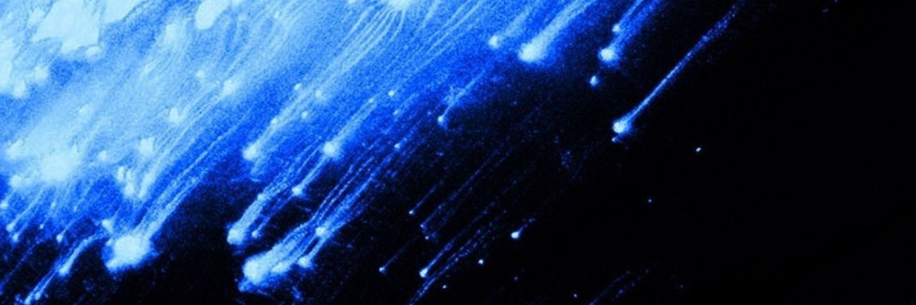 Orion