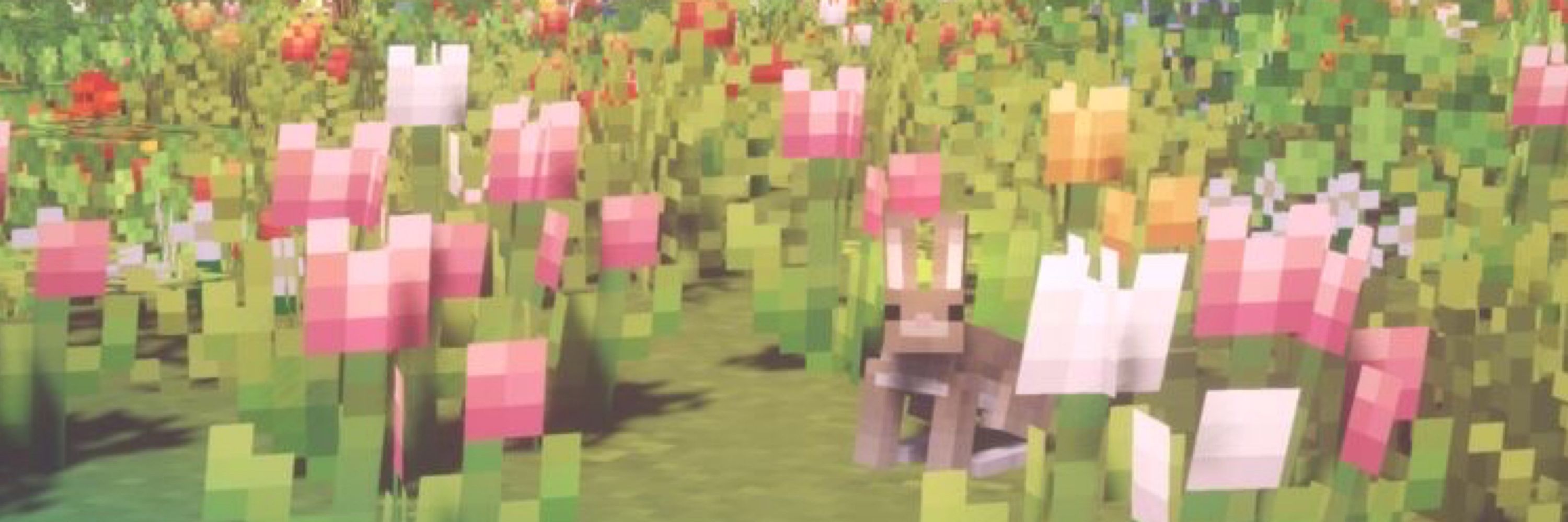 🎀endo🎀