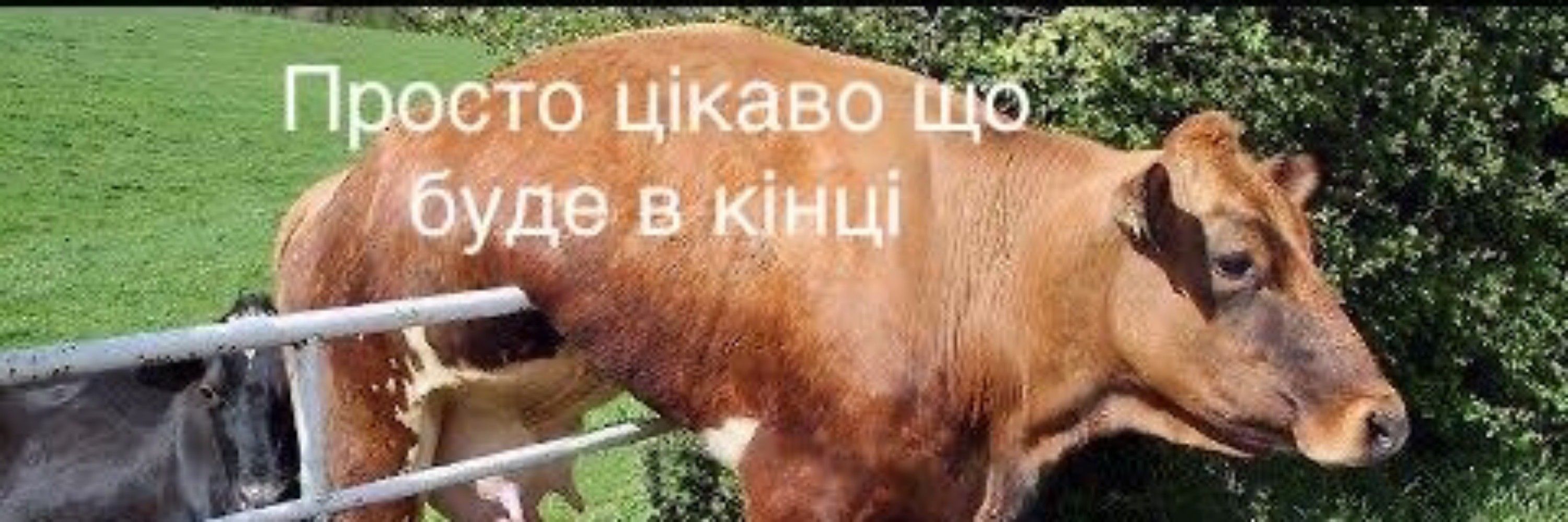 Принцеса Дівана