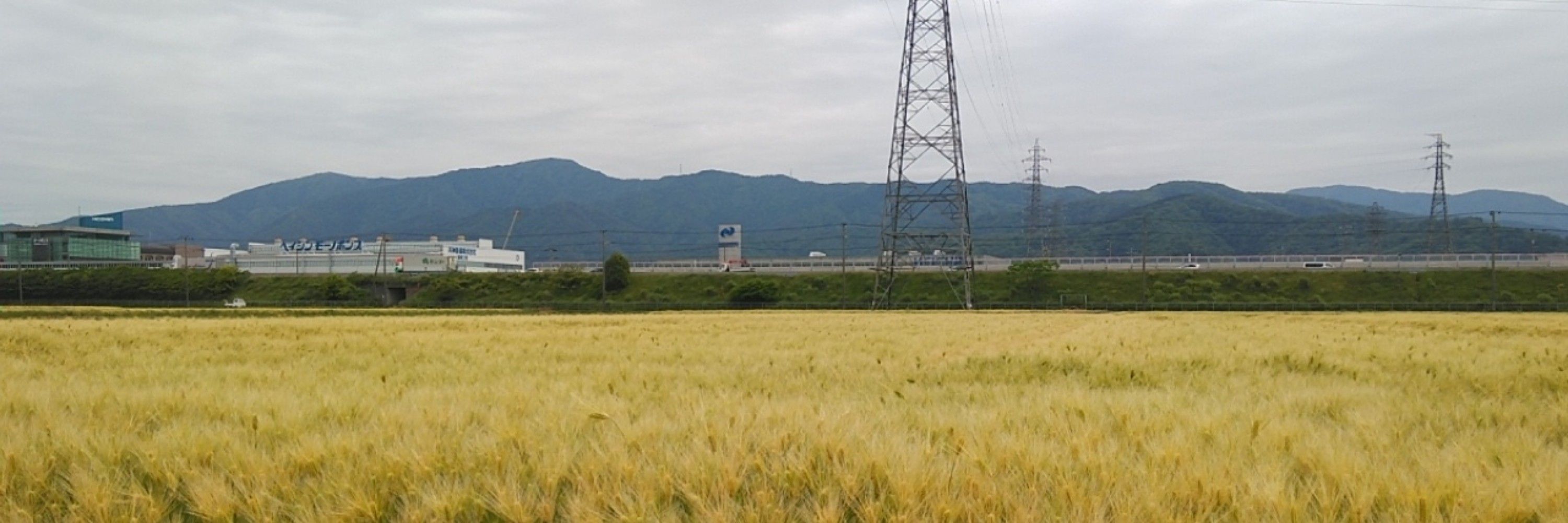 三井國造
