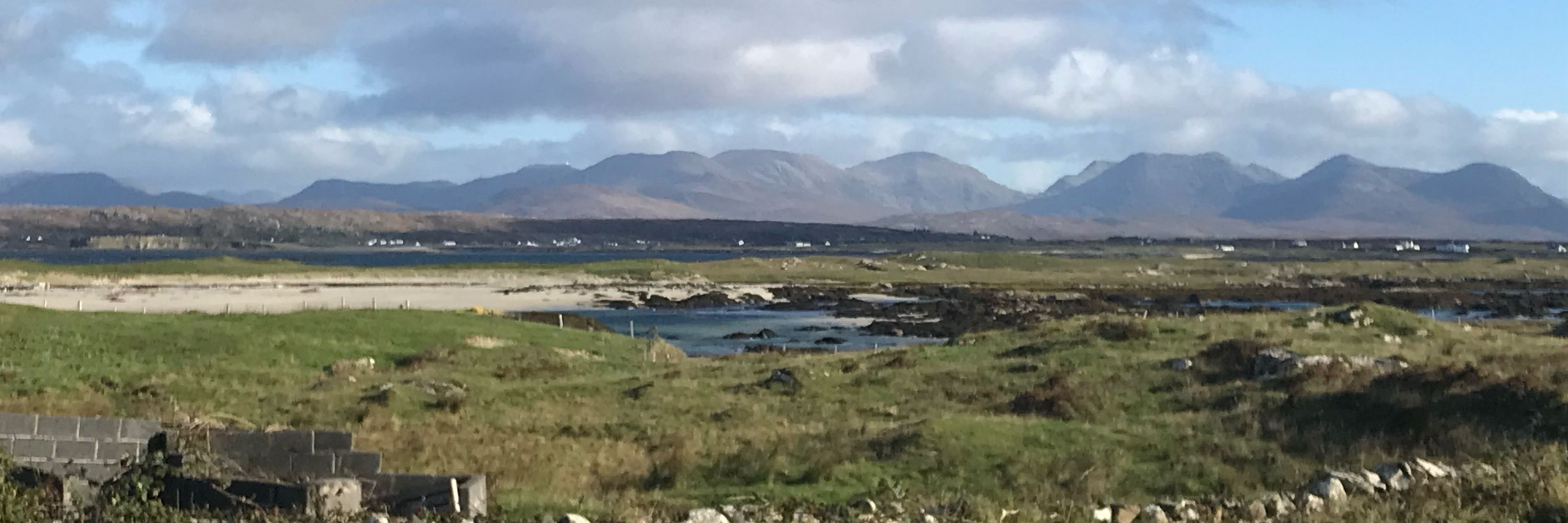 Patricia McMullin