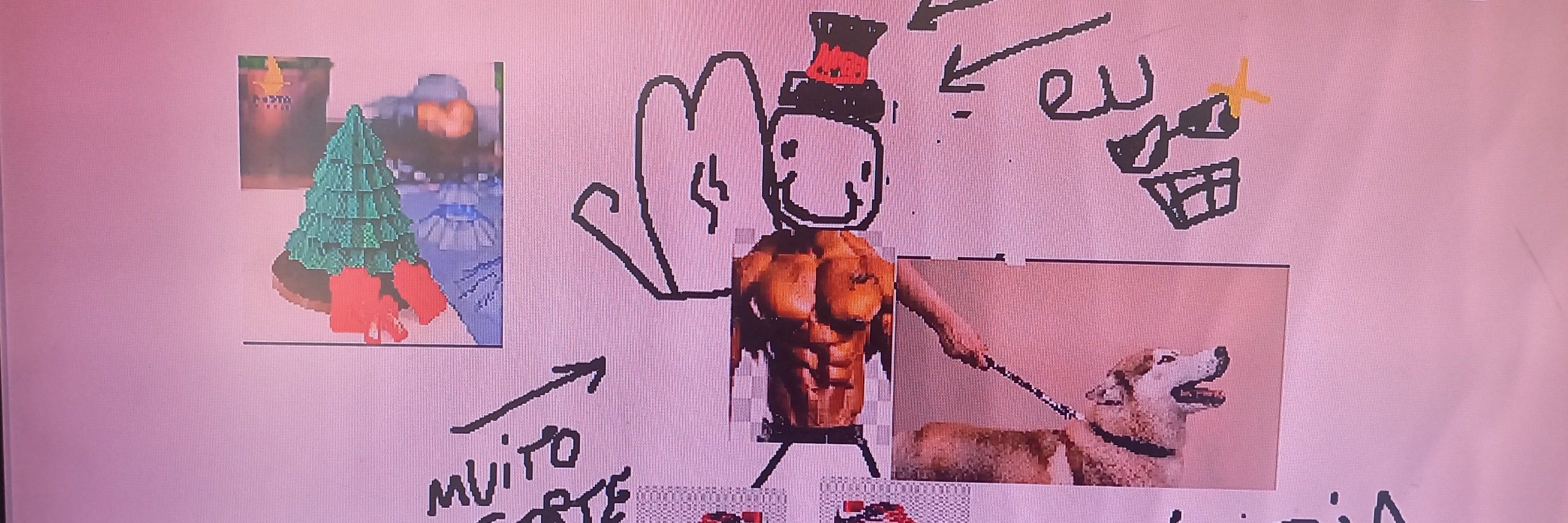 Vieiradiation