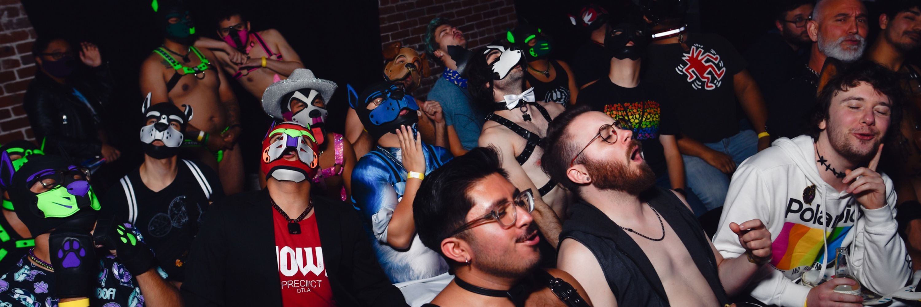 HOWL Pup Party