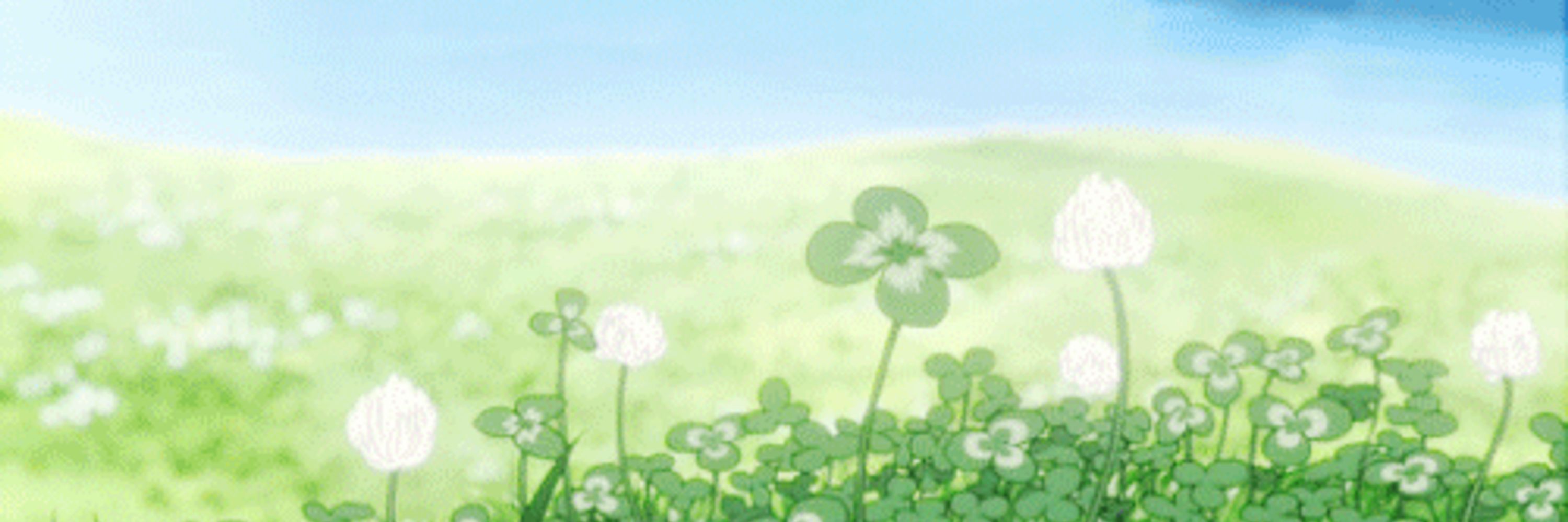 Clover 🍀
