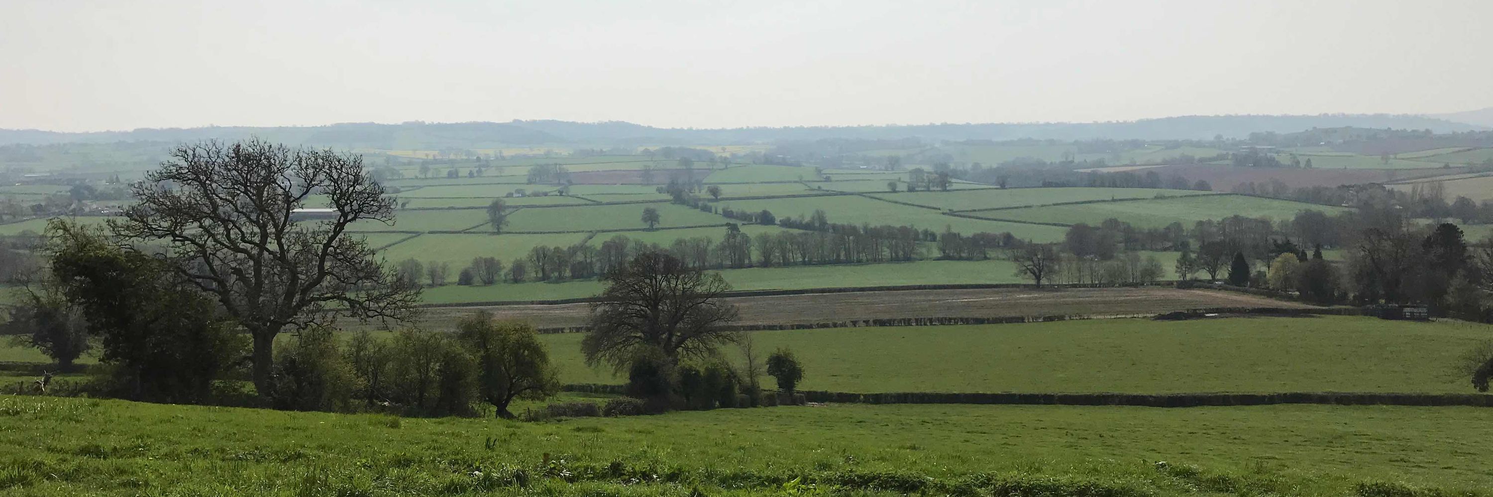 Chew Magna