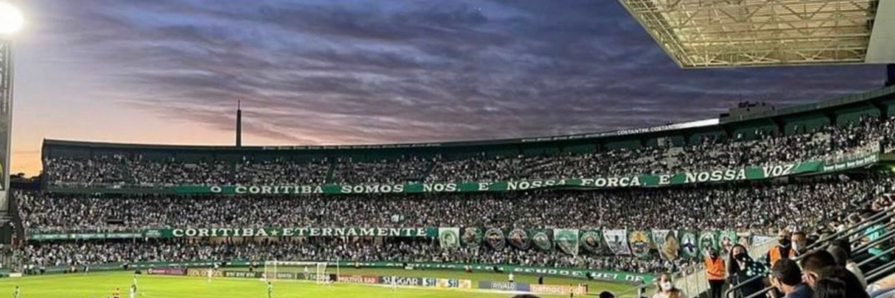 mandy_bordinhao