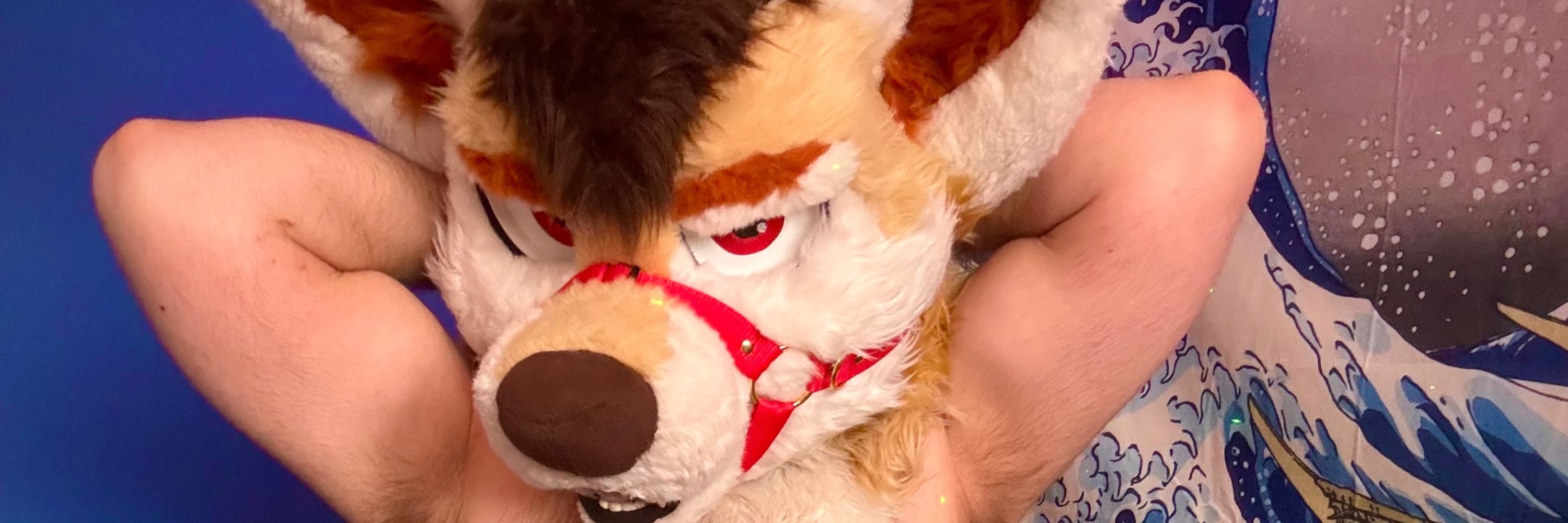 Kai Woof