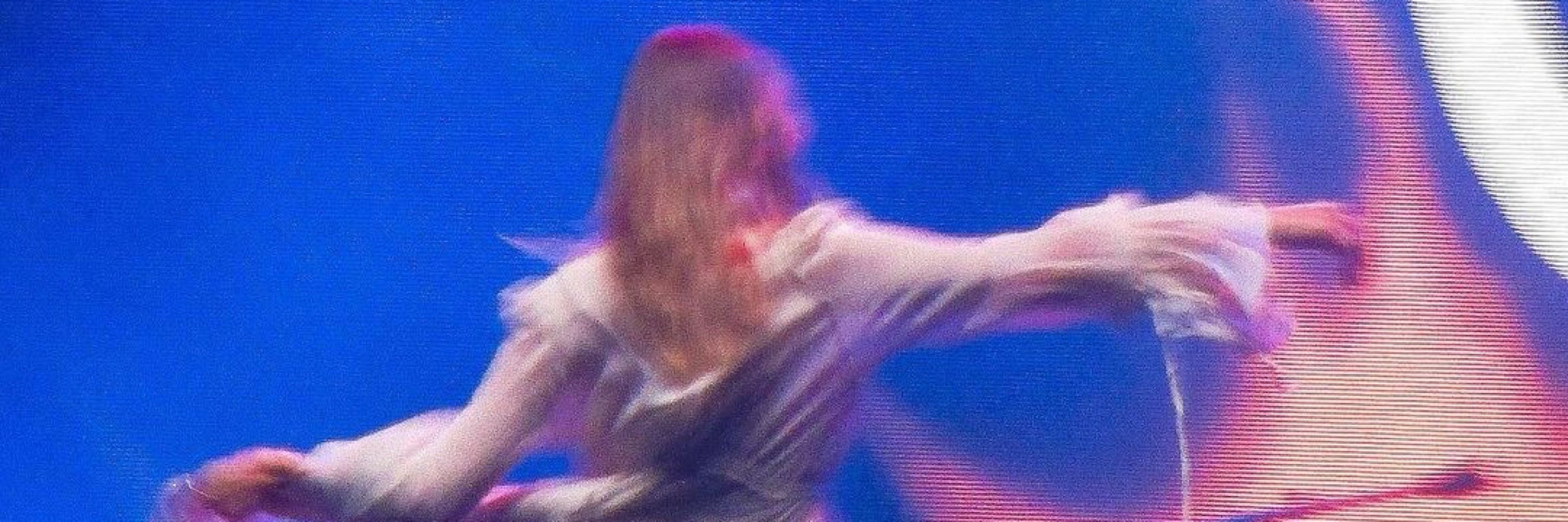 stevie