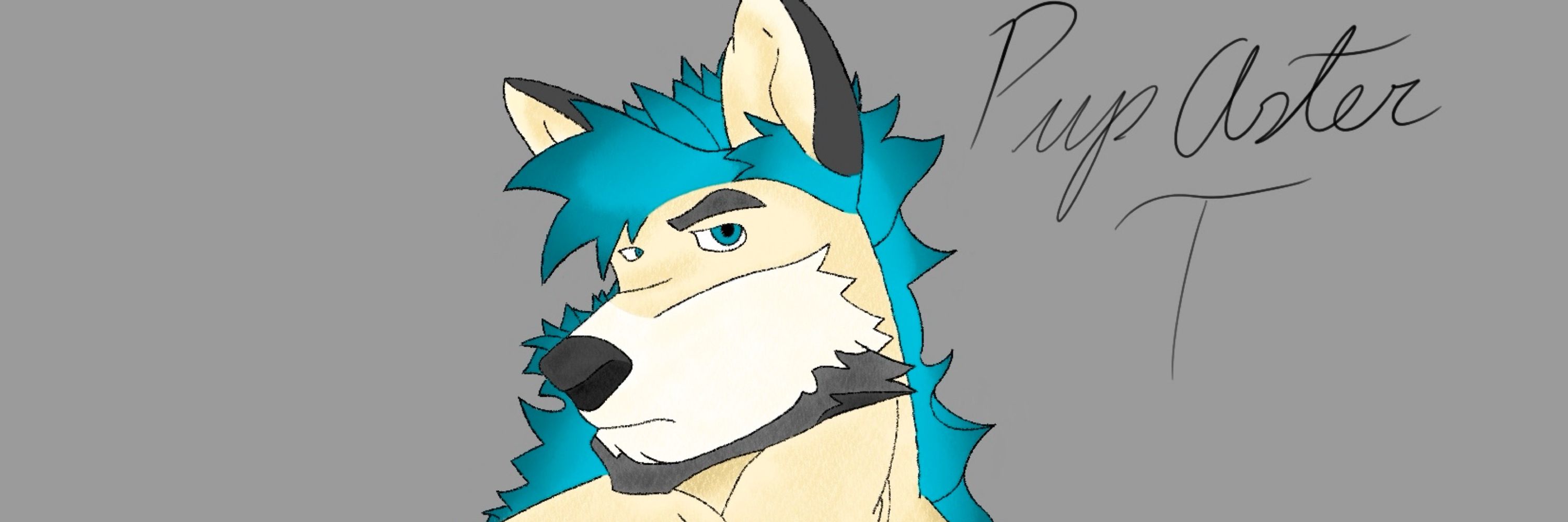 Pup Aster 