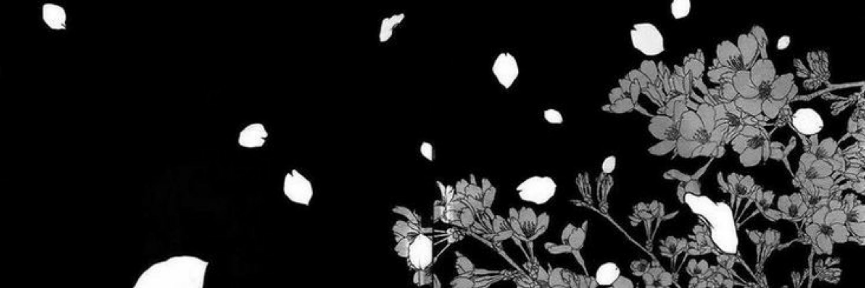 Snflwrrr🌻