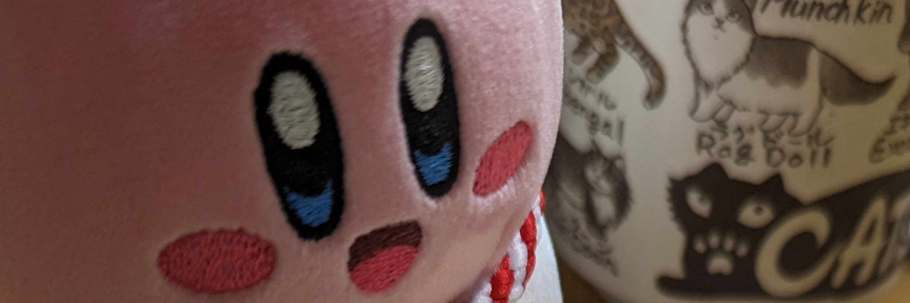 nyn