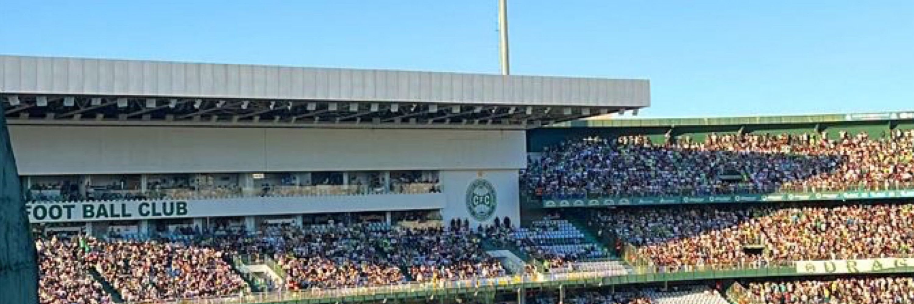 loiola🇳🇬