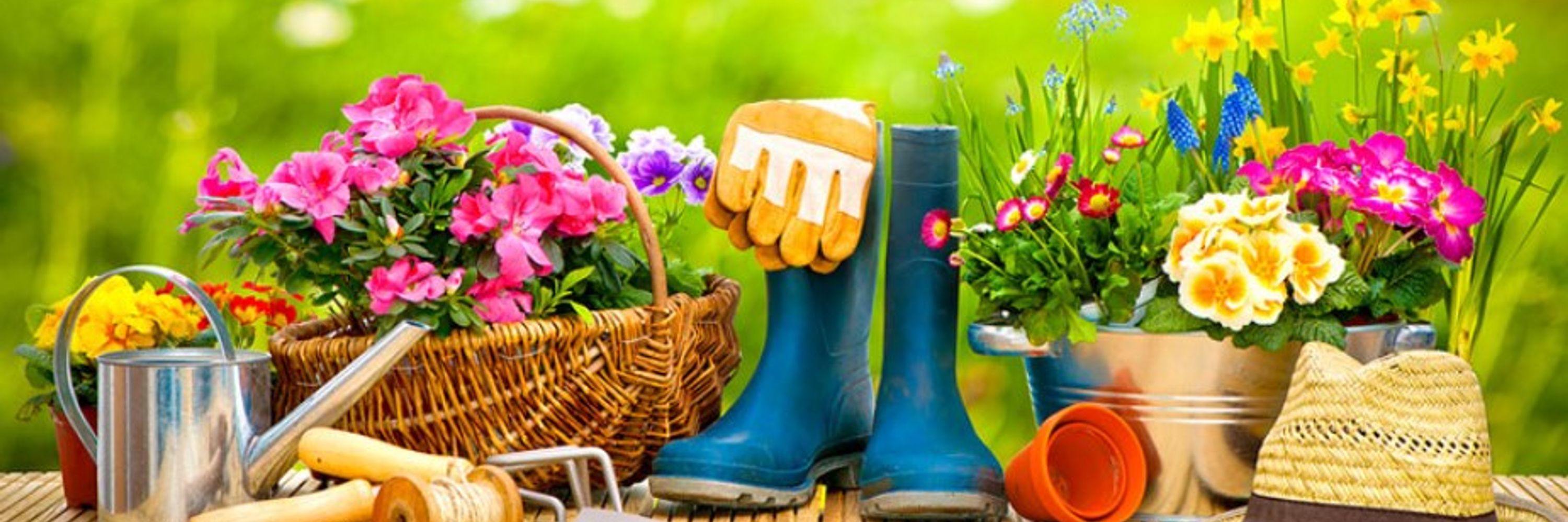 Picket Fence Gardens
