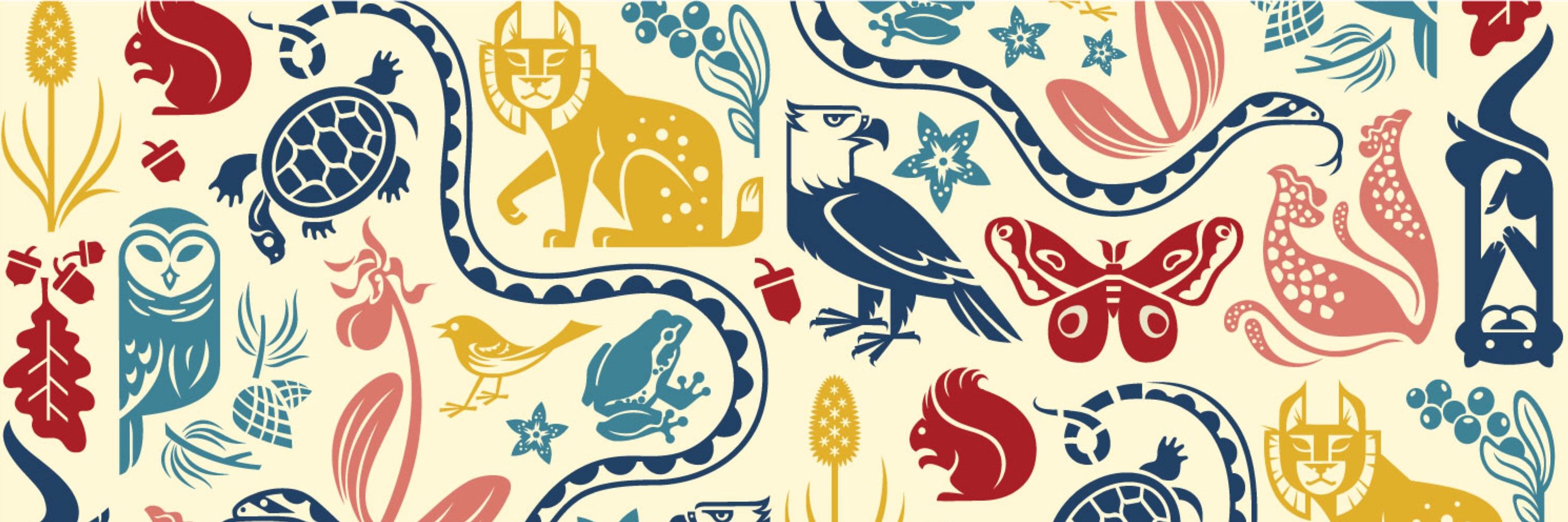 Susan Crawford Illustration