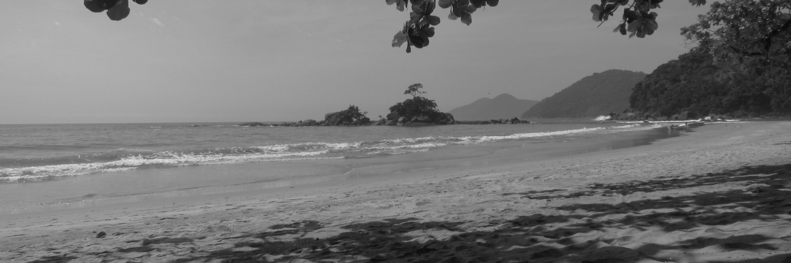 pecezinho 