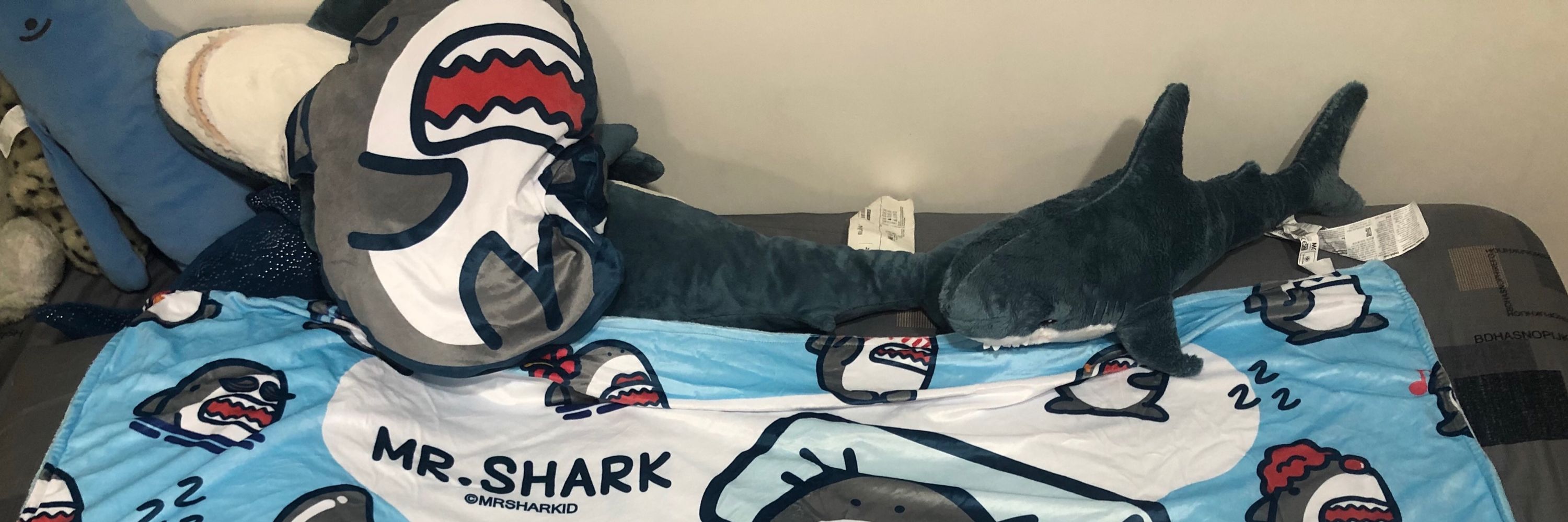 喜歡鯊鯊🦈🦈的獅子