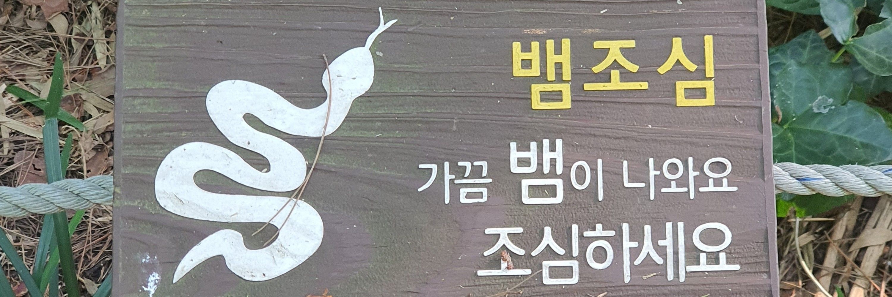 해질