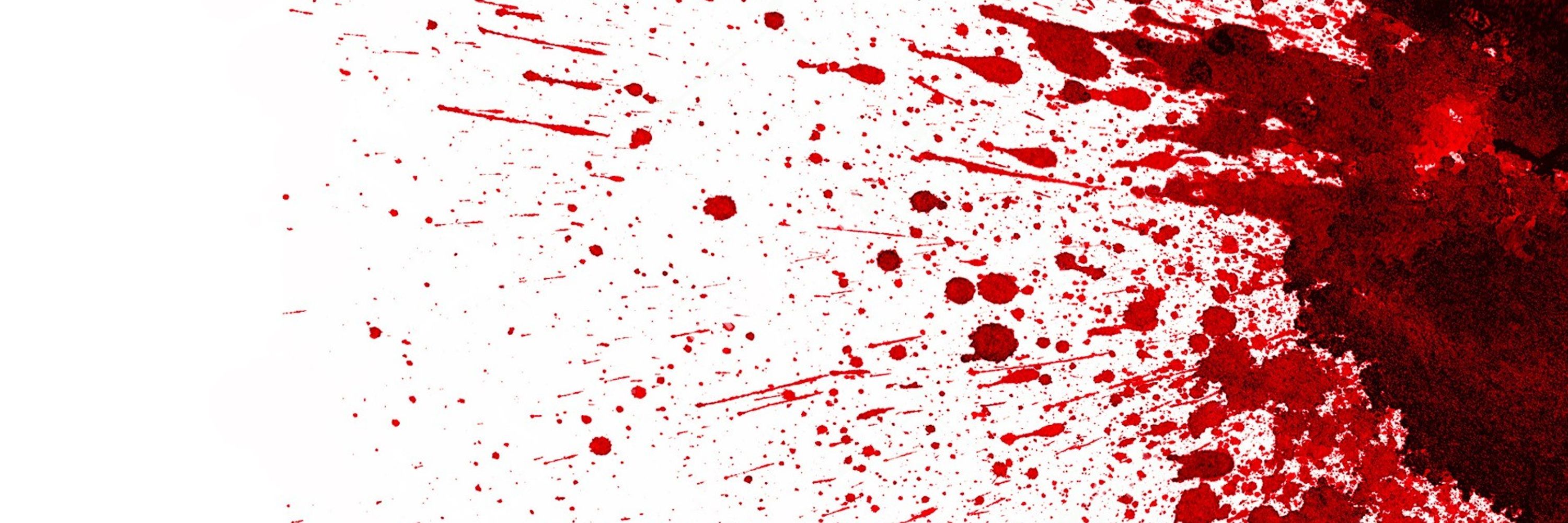 Blood Makes Noise