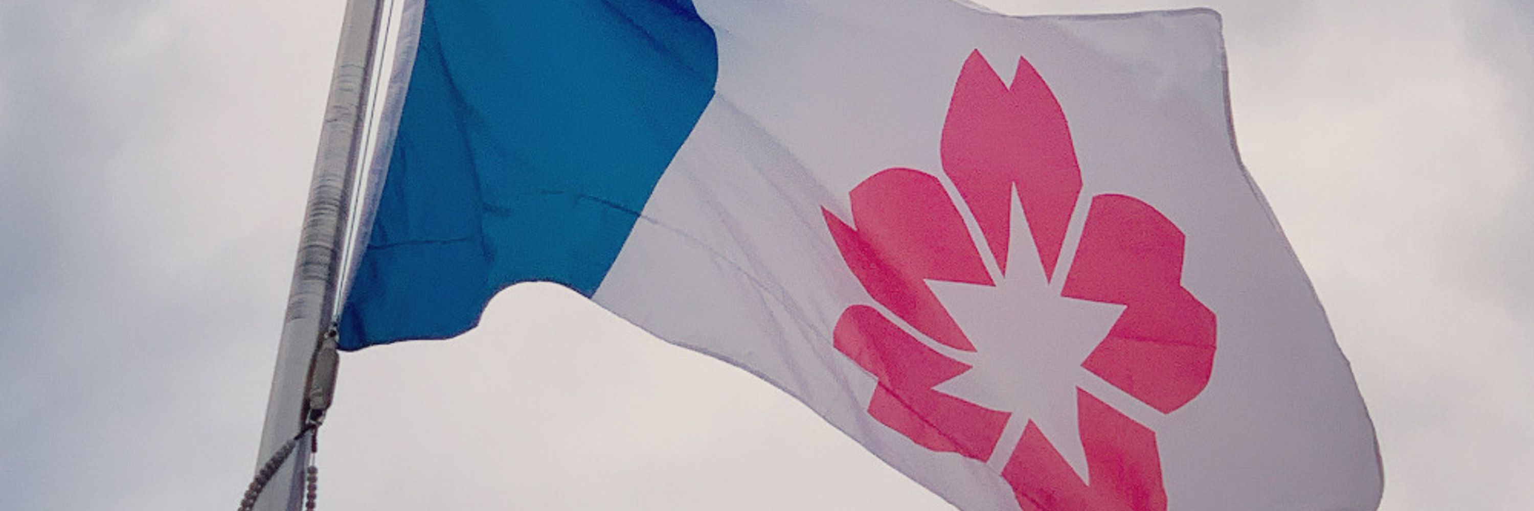 banner