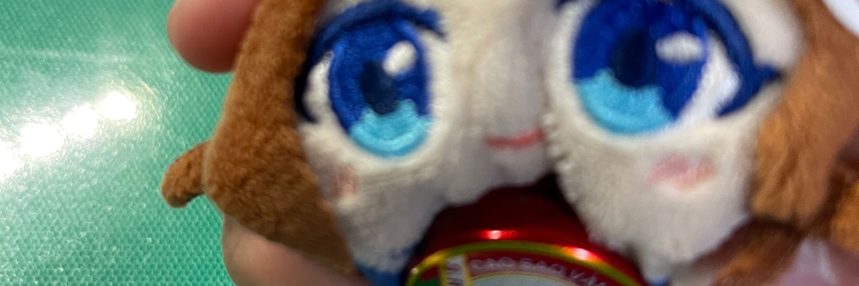 ムーシカくん