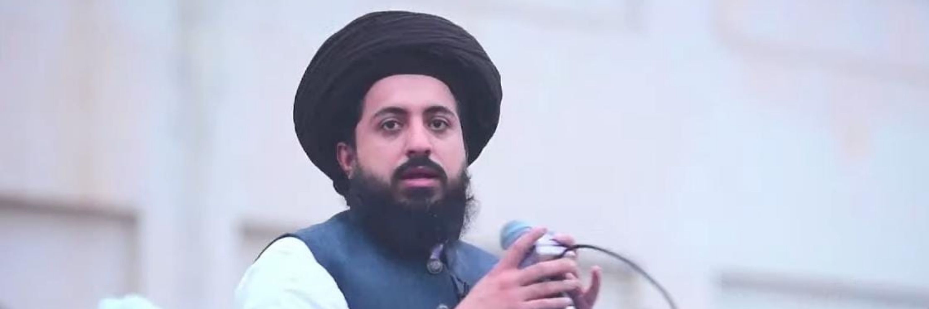ZM TLP