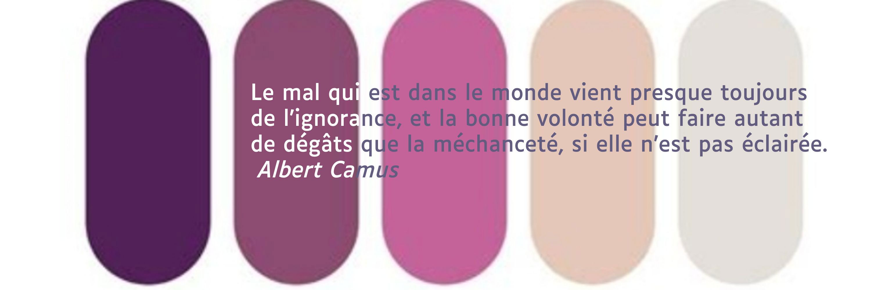 ℕ𝕒𝕥𝕙𝕒𝕝𝕚𝕖 𝔹𝕒𝕝𝕕𝕛𝕚 🦋- Réalisatrice - Journaliste