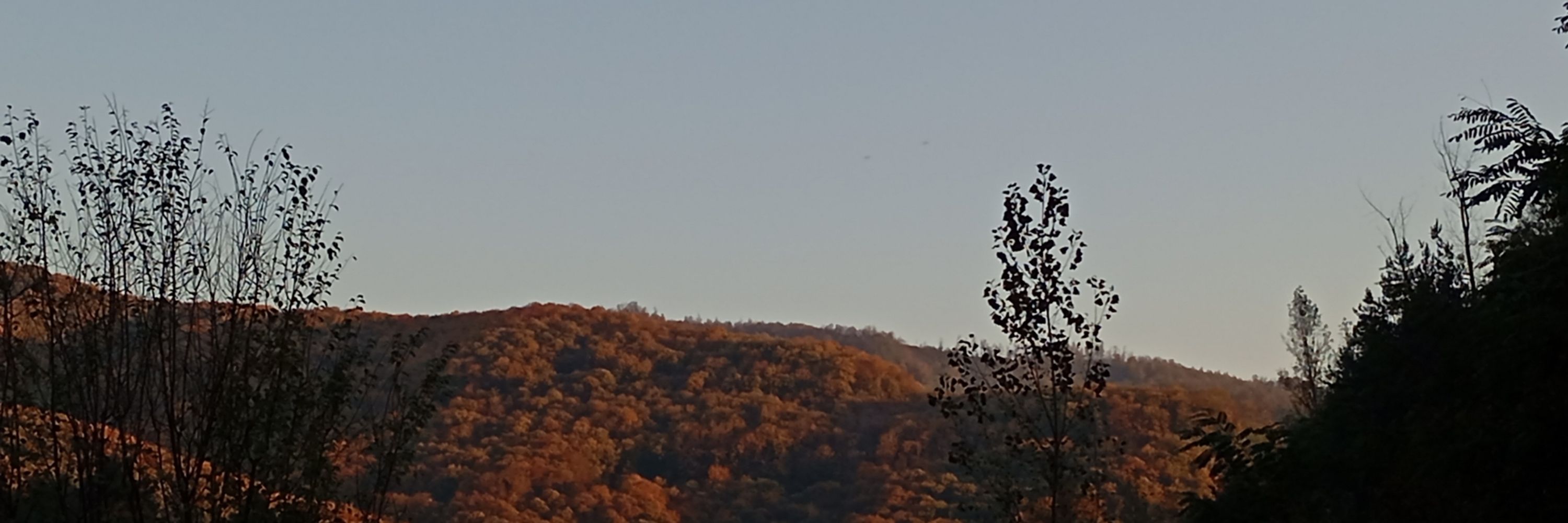 🌄 ozymandiel