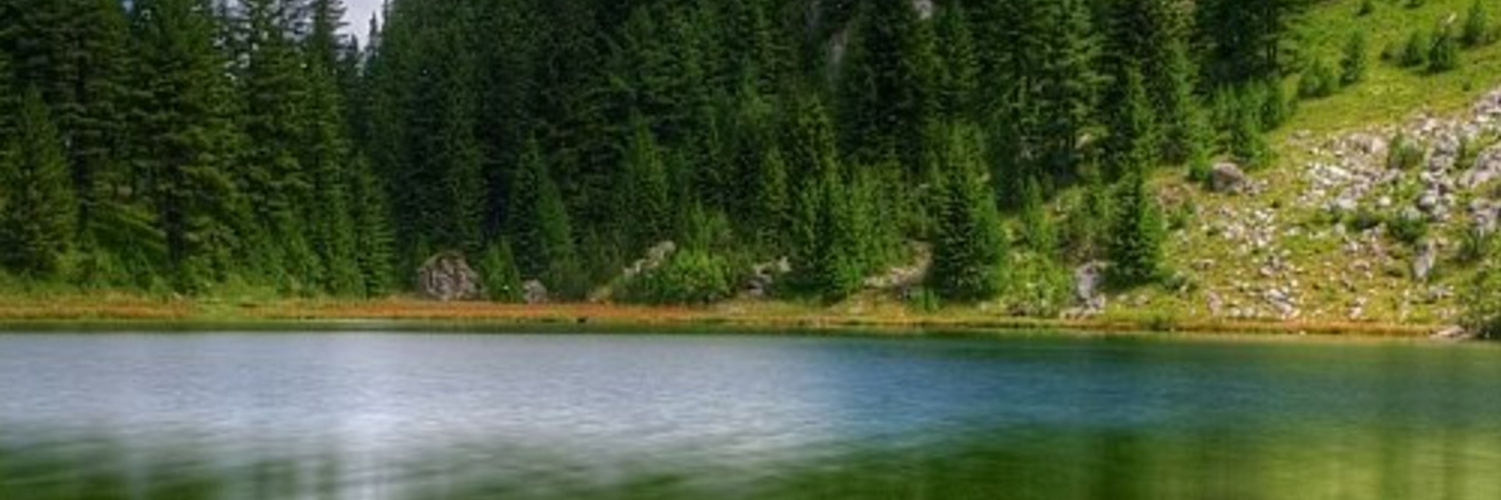 Arbër | The Republic of Kosova