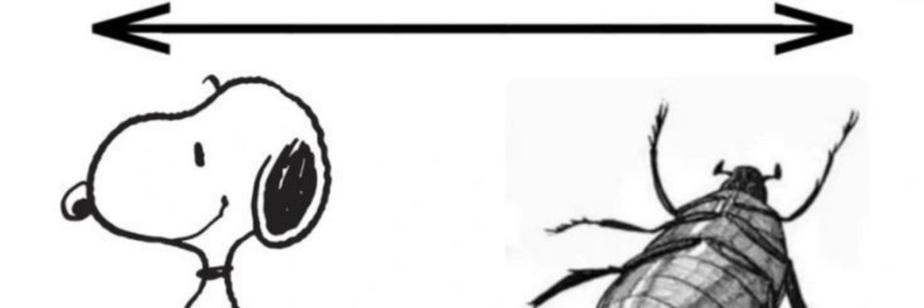 ashuashua ;-;