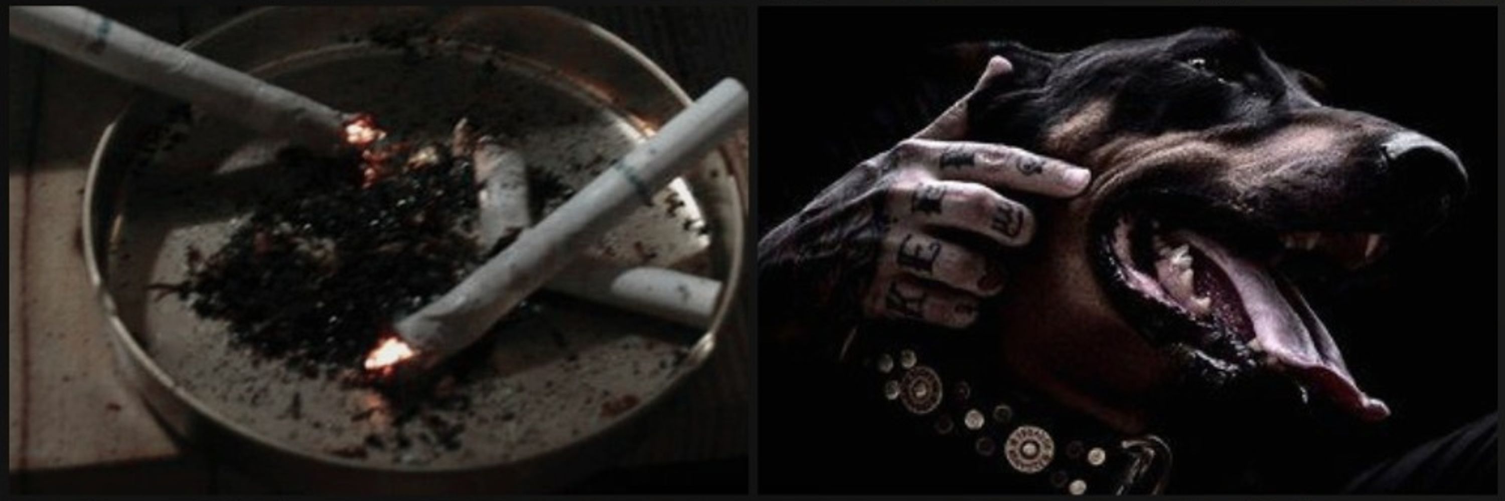 ✦.ᴋᴜꜱʜ.✦