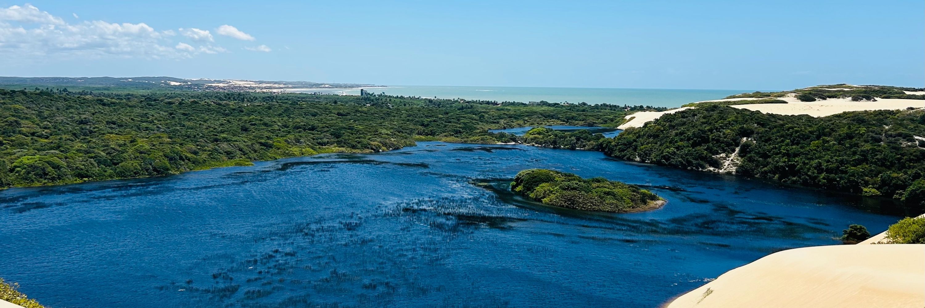 Melepra