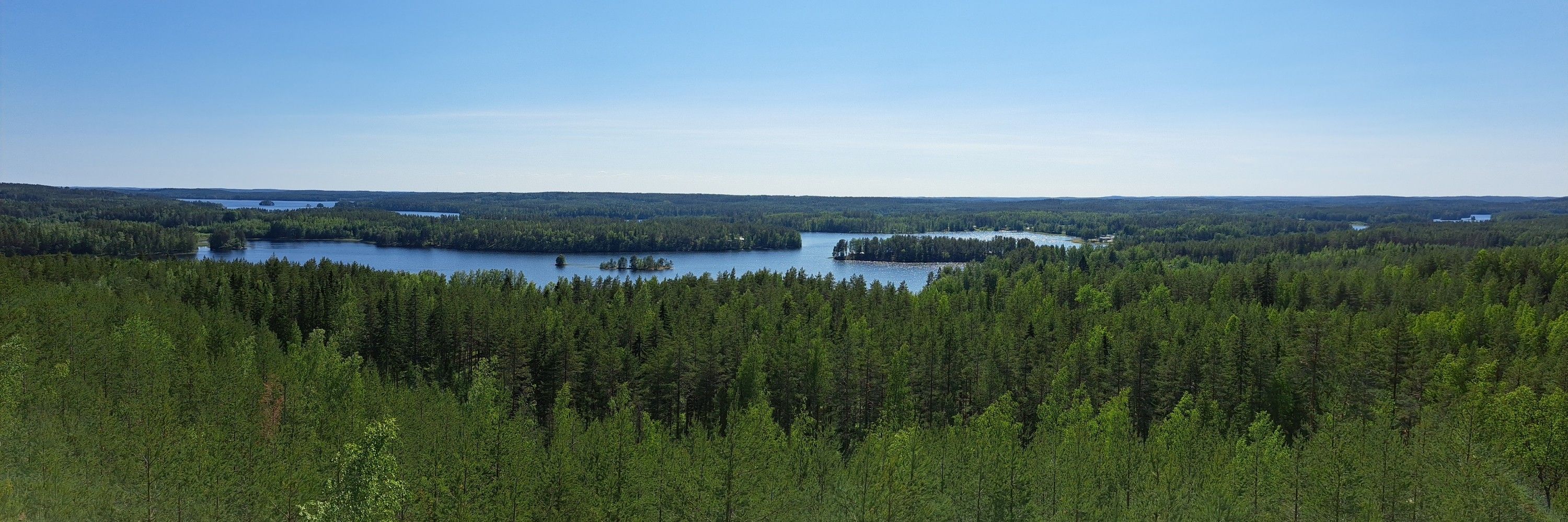 Mikko Vanninen 