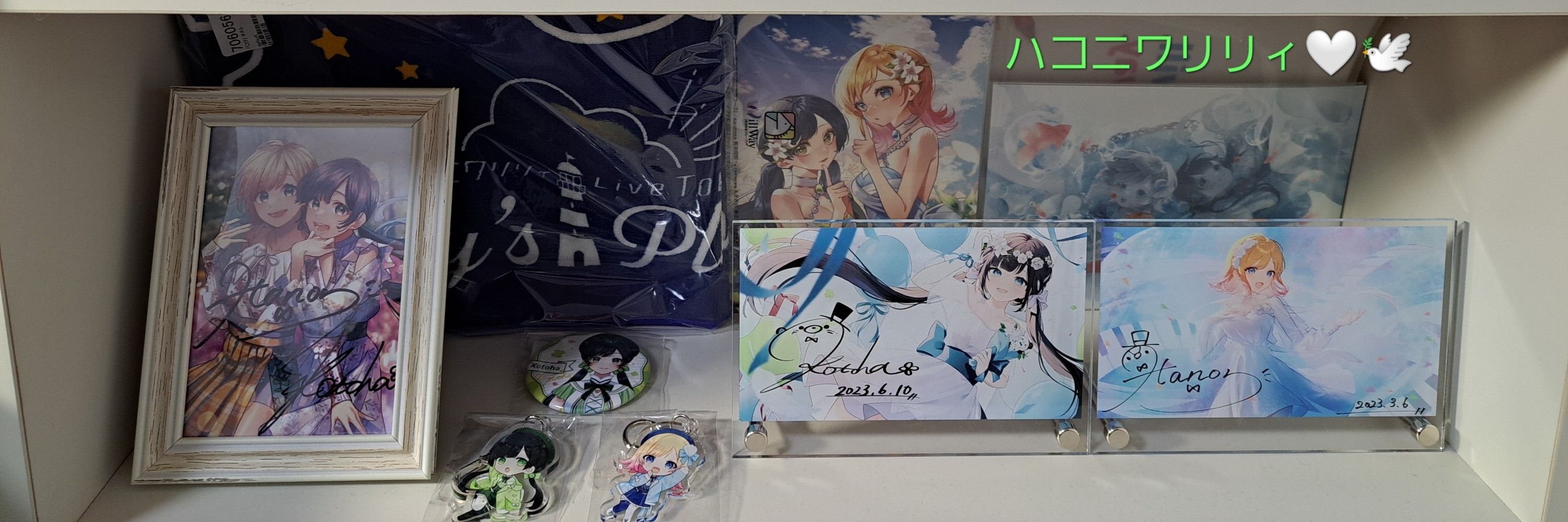 ピッグ@ハコ船🍀🐧🤍🕊️