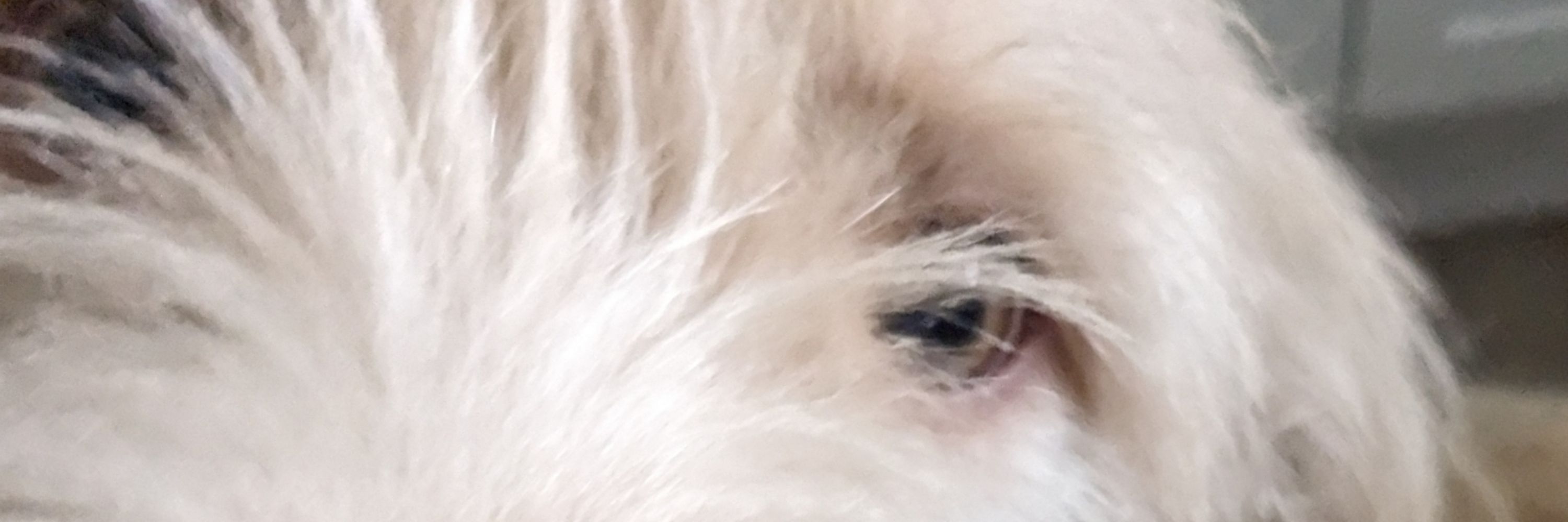 Sam